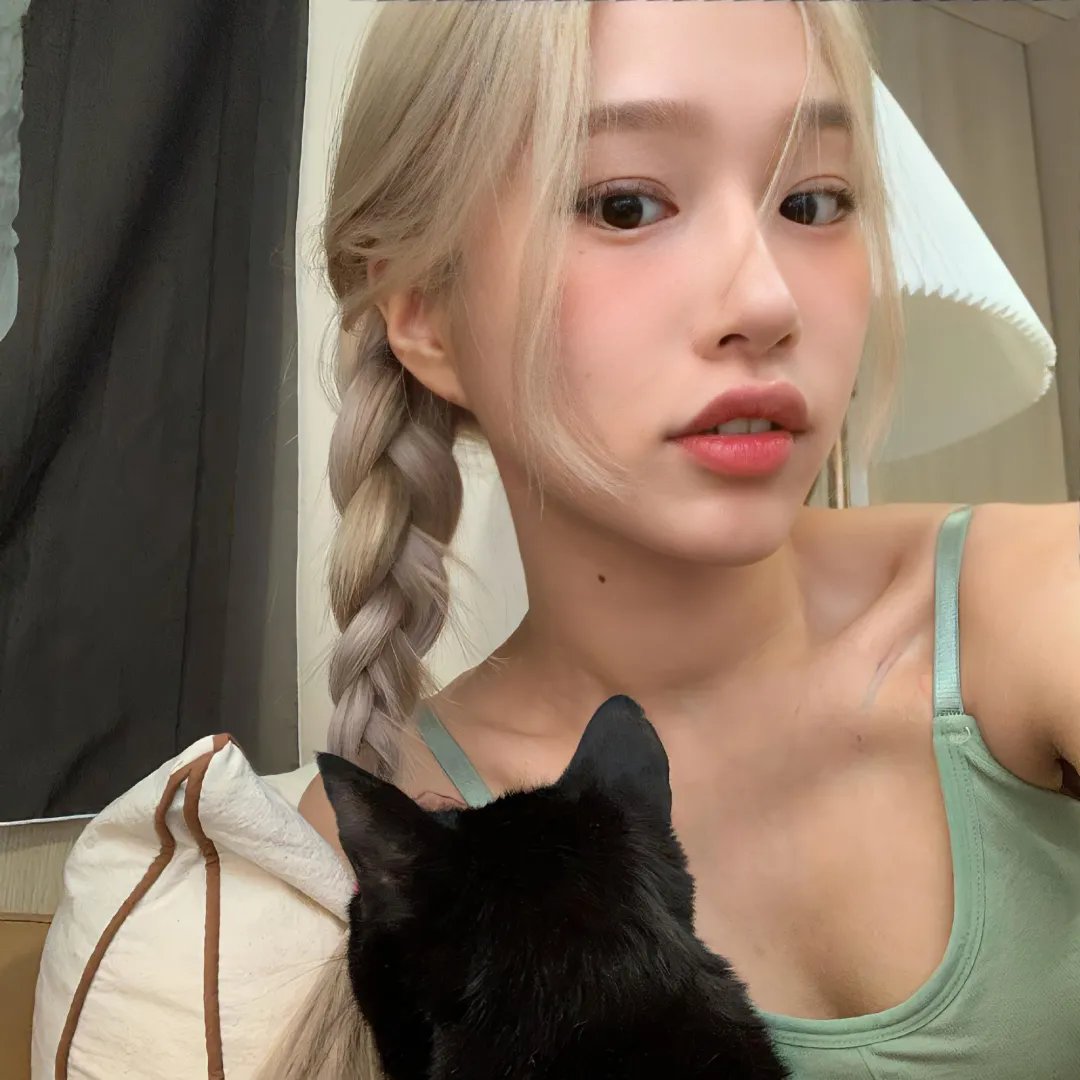 折翼鸟
